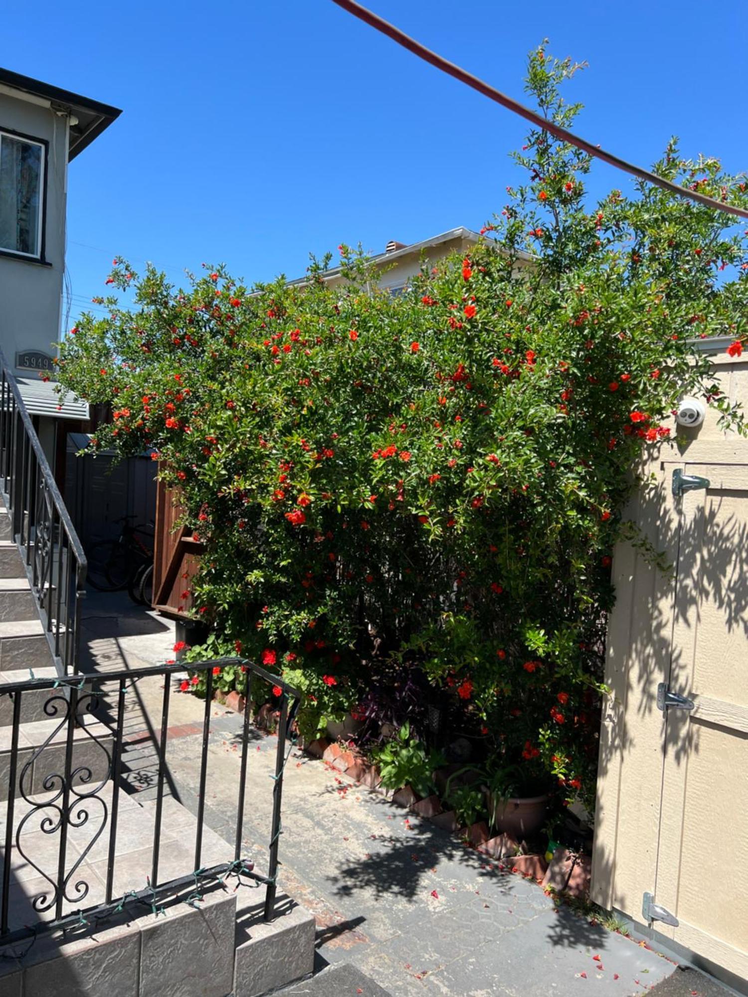 Timen House Hostel Los Angeles Ngoại thất bức ảnh